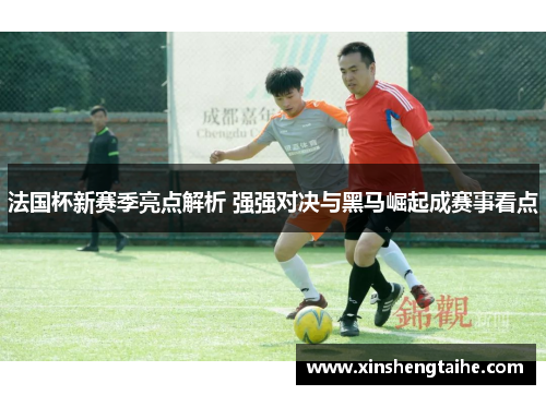 法国杯新赛季亮点解析 强强对决与黑马崛起成赛事看点
